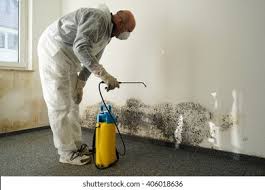 Professional Mold Prevention & Removal  in North Bonneville, WA